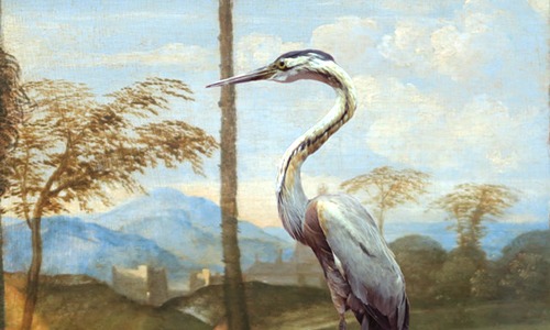 vignette- heron