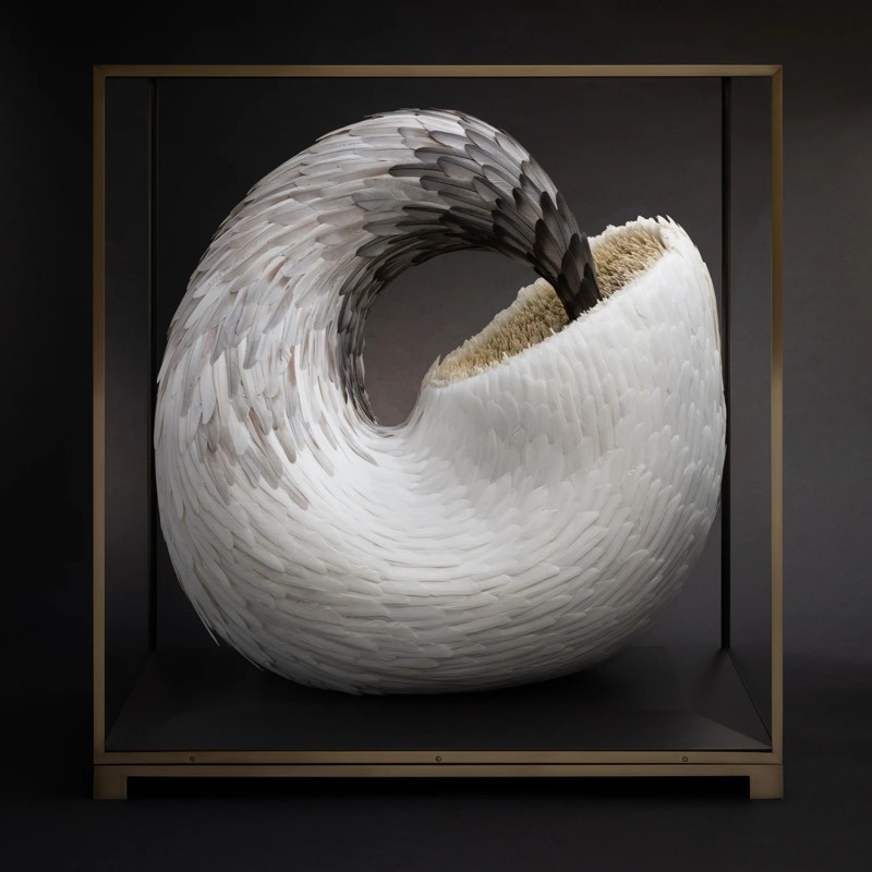 « Les filles du Calvaire », Kate MccGwire-